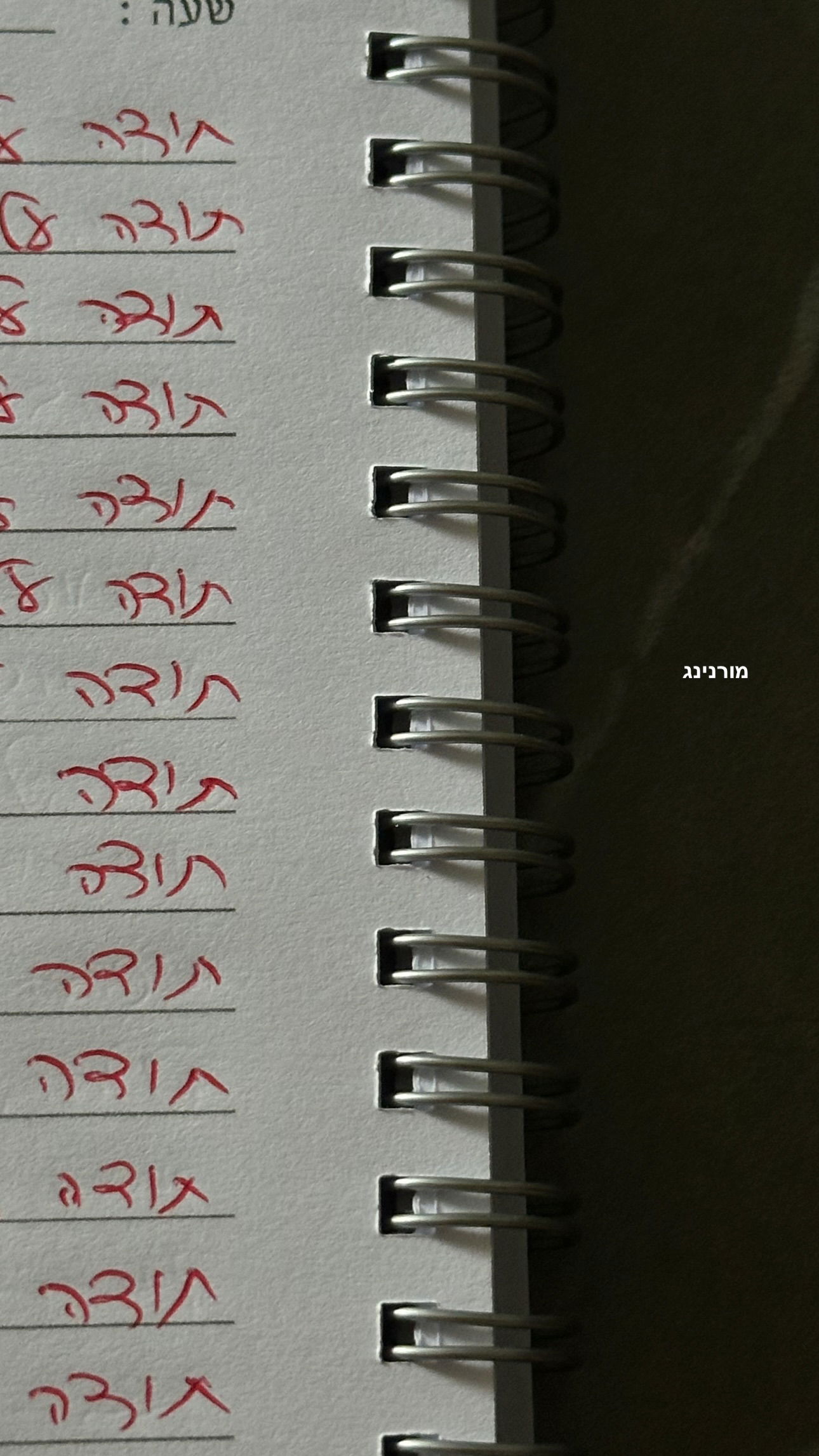 talweisswasser instagram image archive image