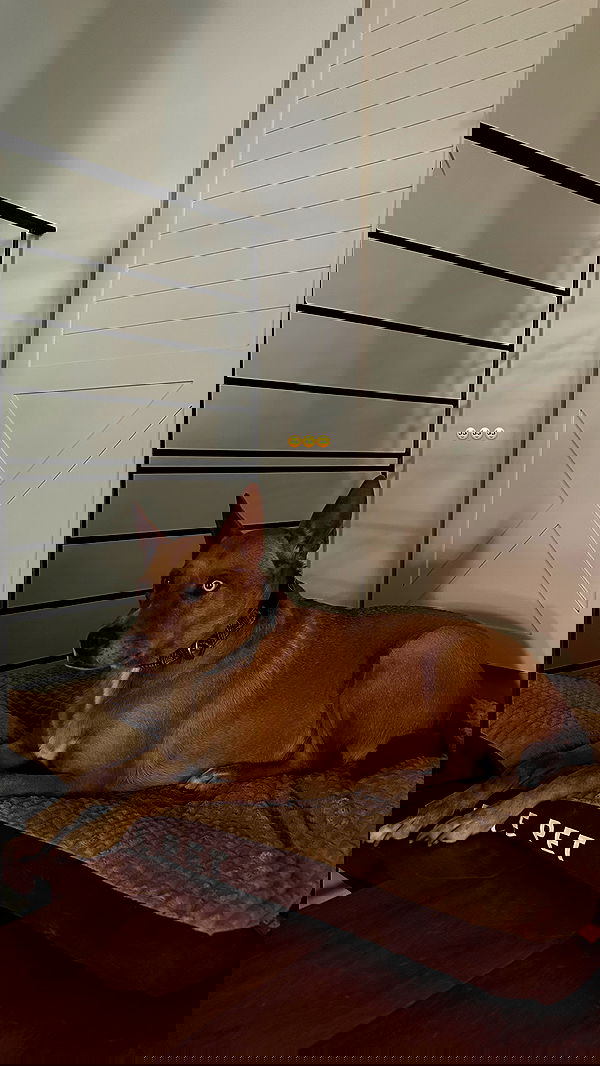 talweisswasser image ~ Altpins