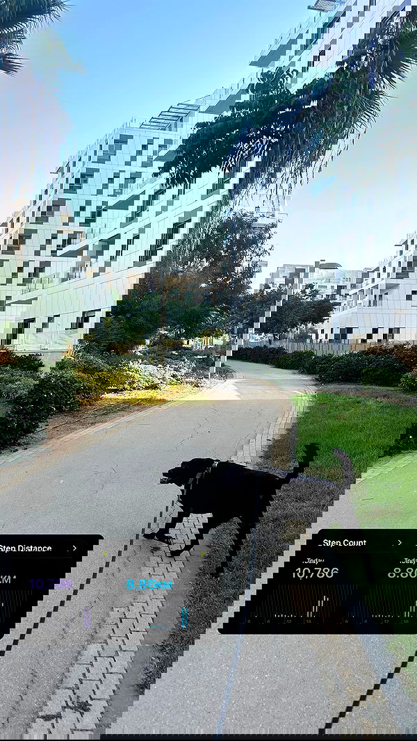 talweisswasser image ~ Altpins