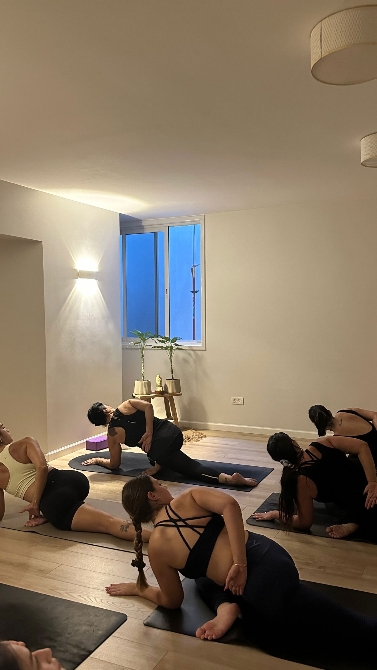 talweisswasser instagram image archive image