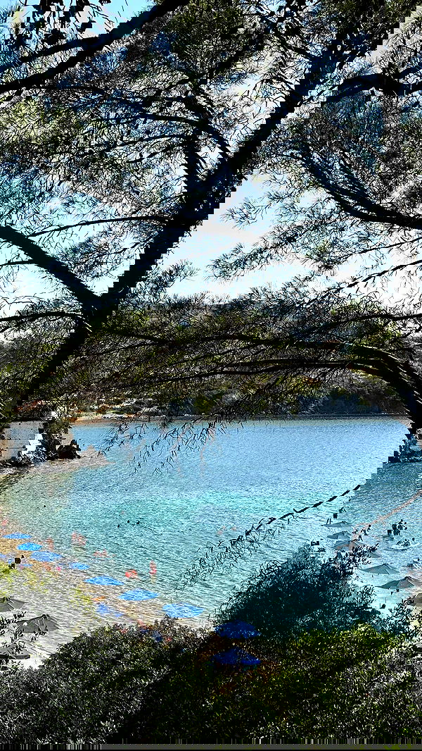 talweisswasser image ~ Altpins