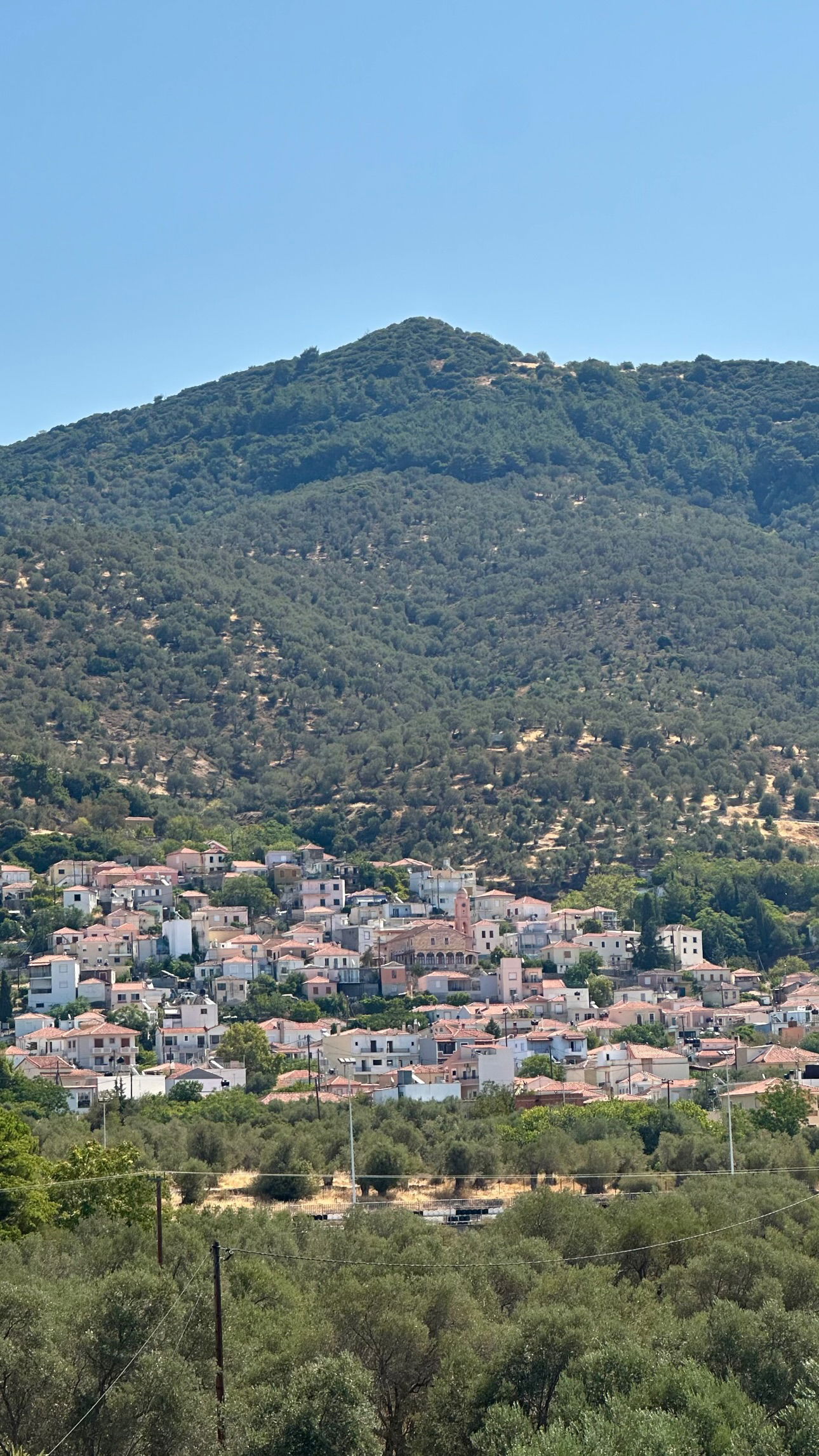 talweisswasser instagram image archive image