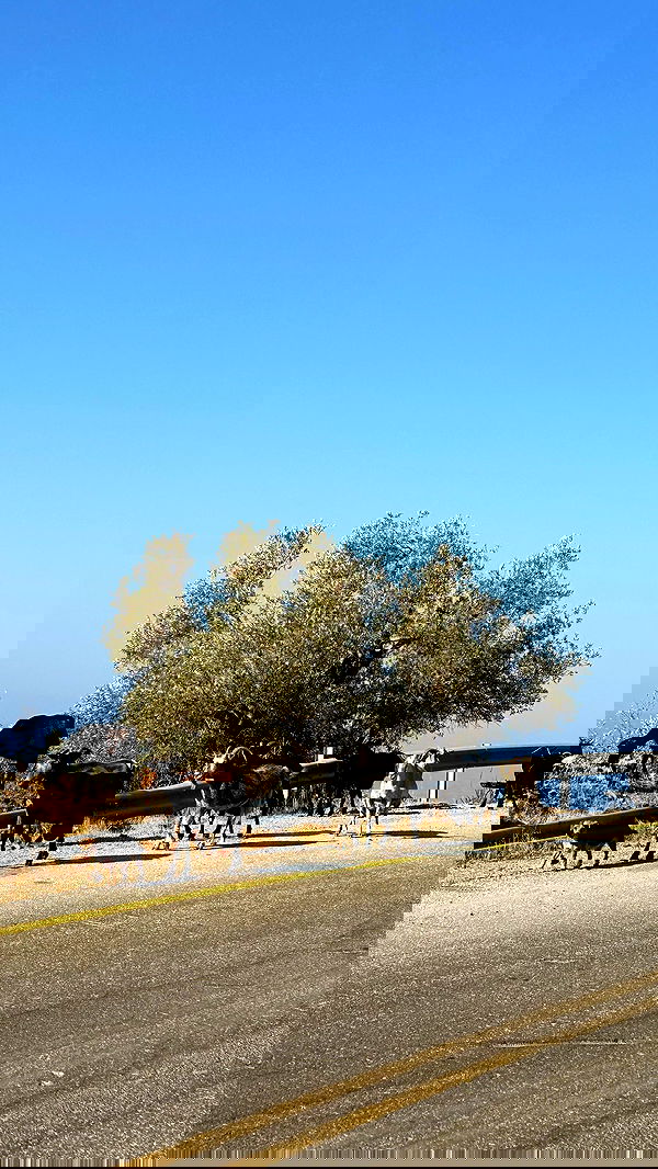 talweisswasser image ~ Altpins