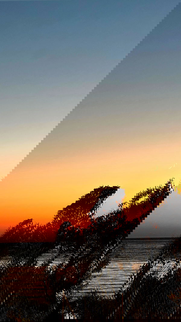 talweisswasser image ~ Altpins