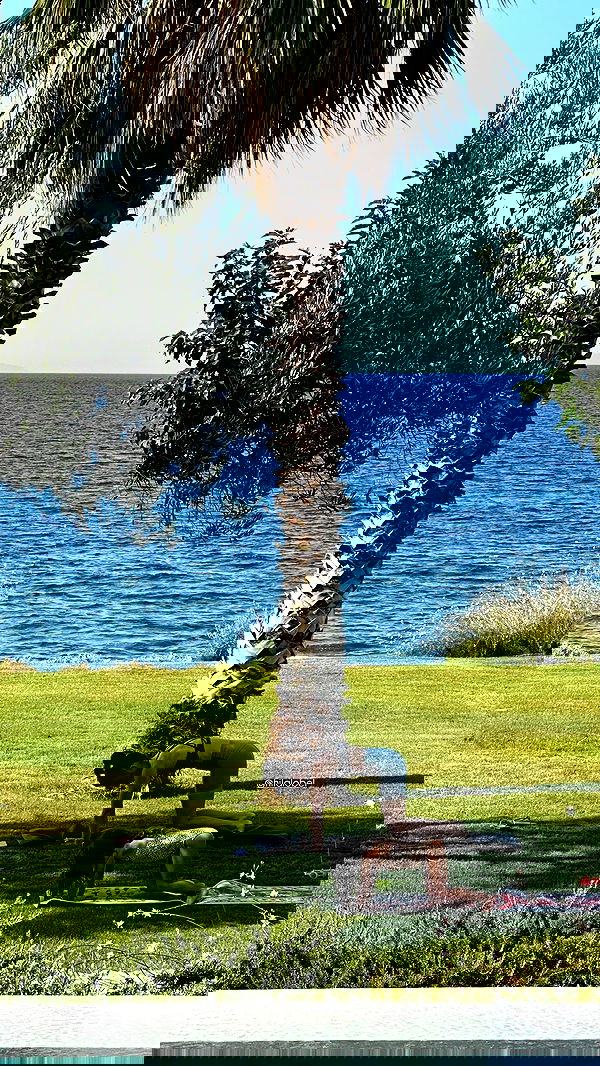 talweisswasser image ~ Altpins