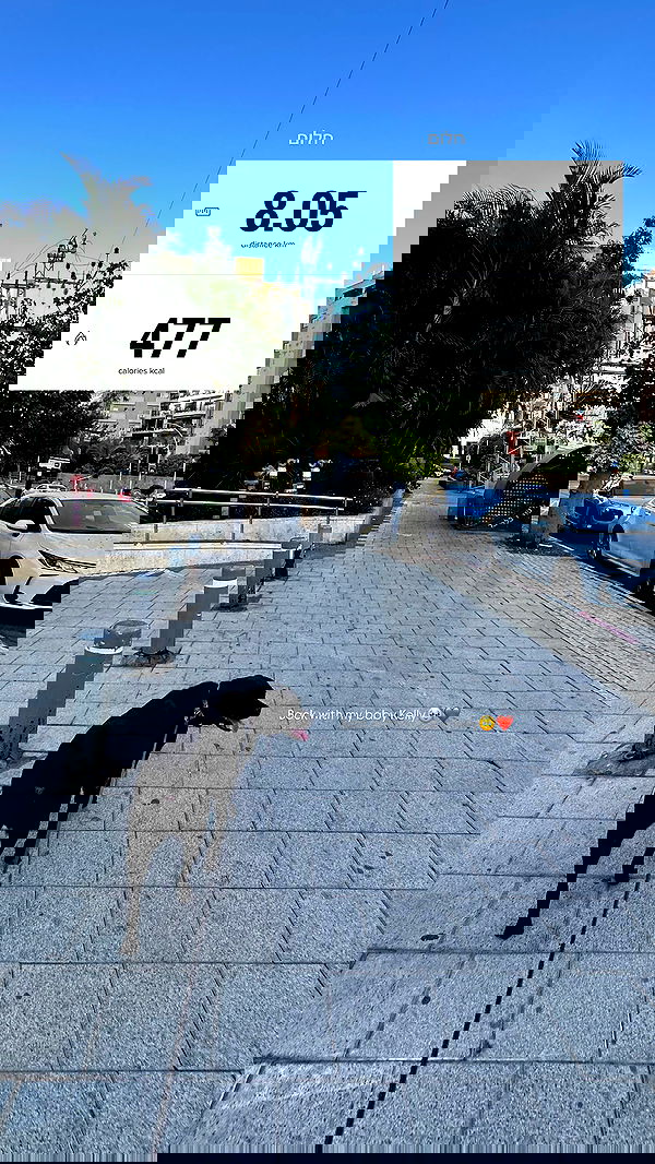 talweisswasser image ~ Altpins