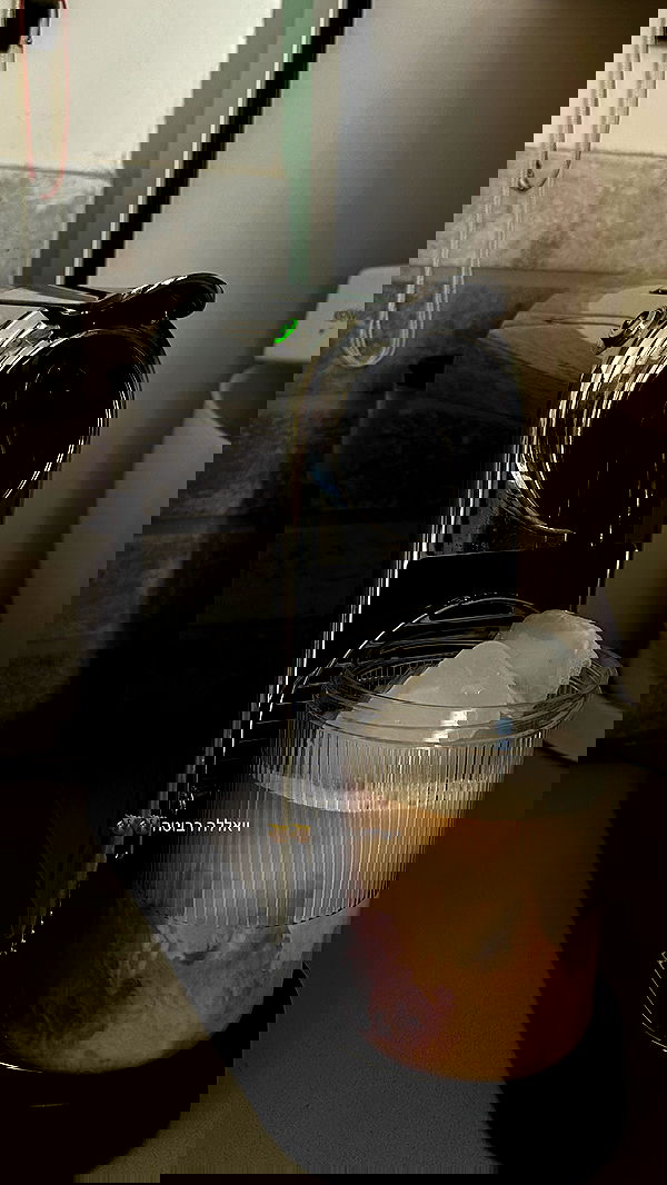 talweisswasser image ~ Altpins