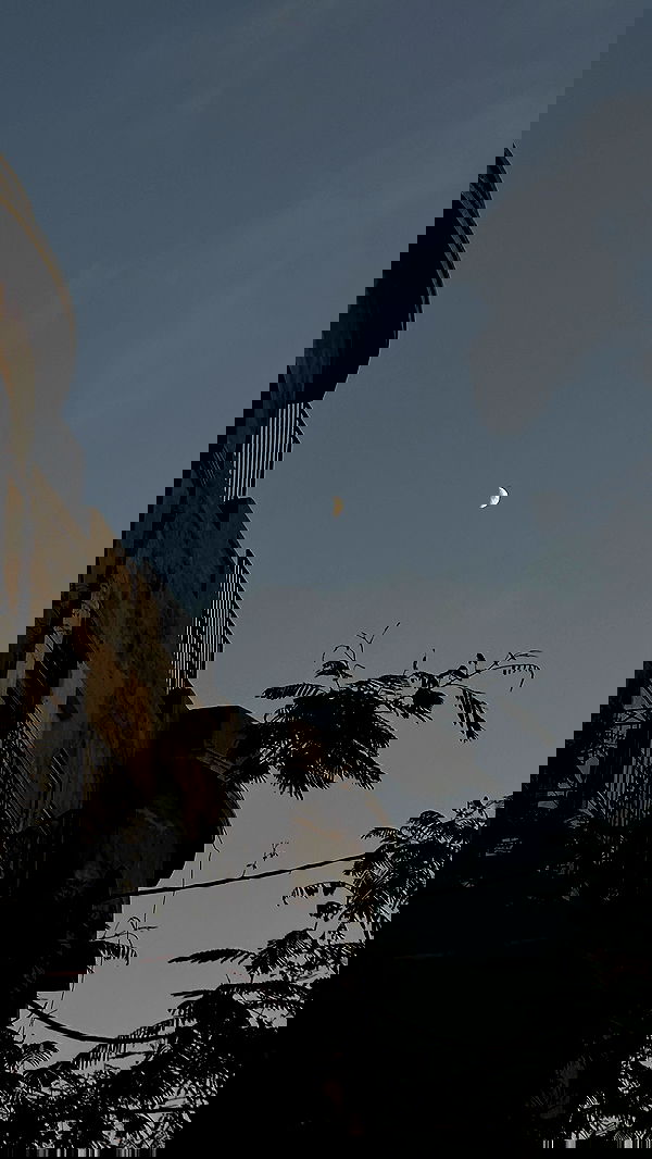 talweisswasser image ~ Altpins