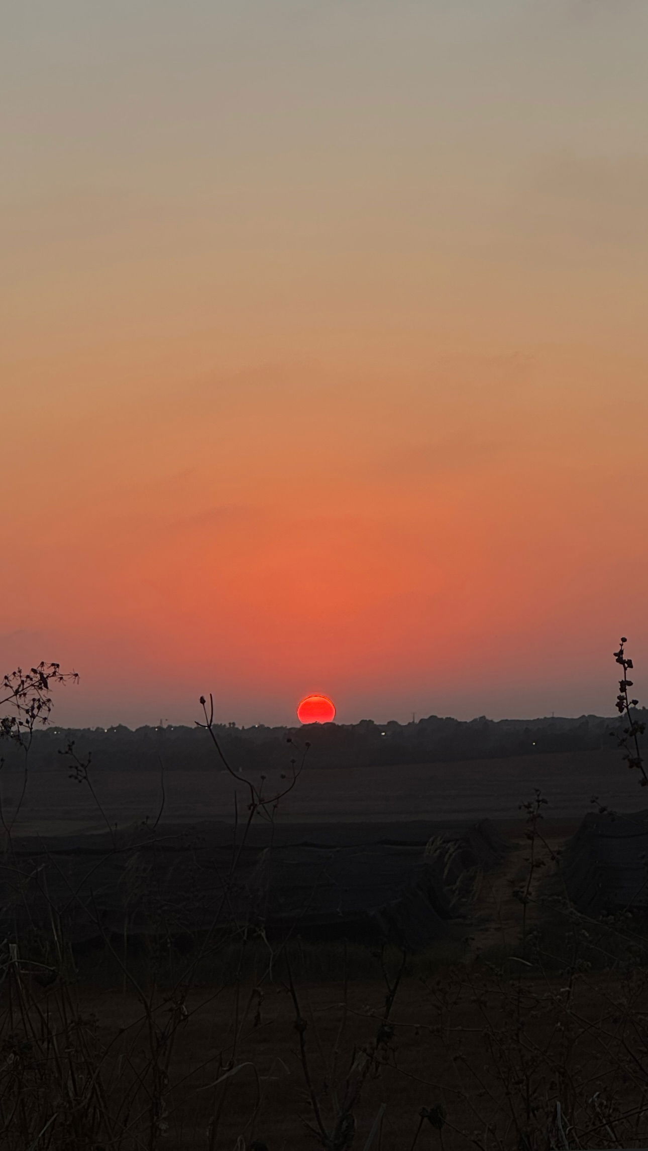 talweisswasser instagram image archive image