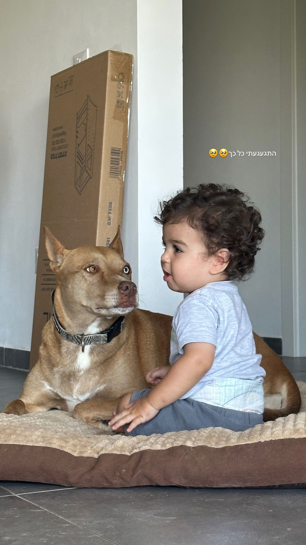 talweisswasser instagram image archive image