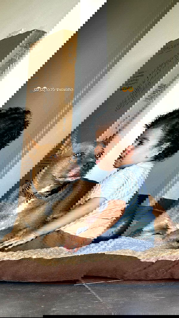 talweisswasser image ~ Altpins