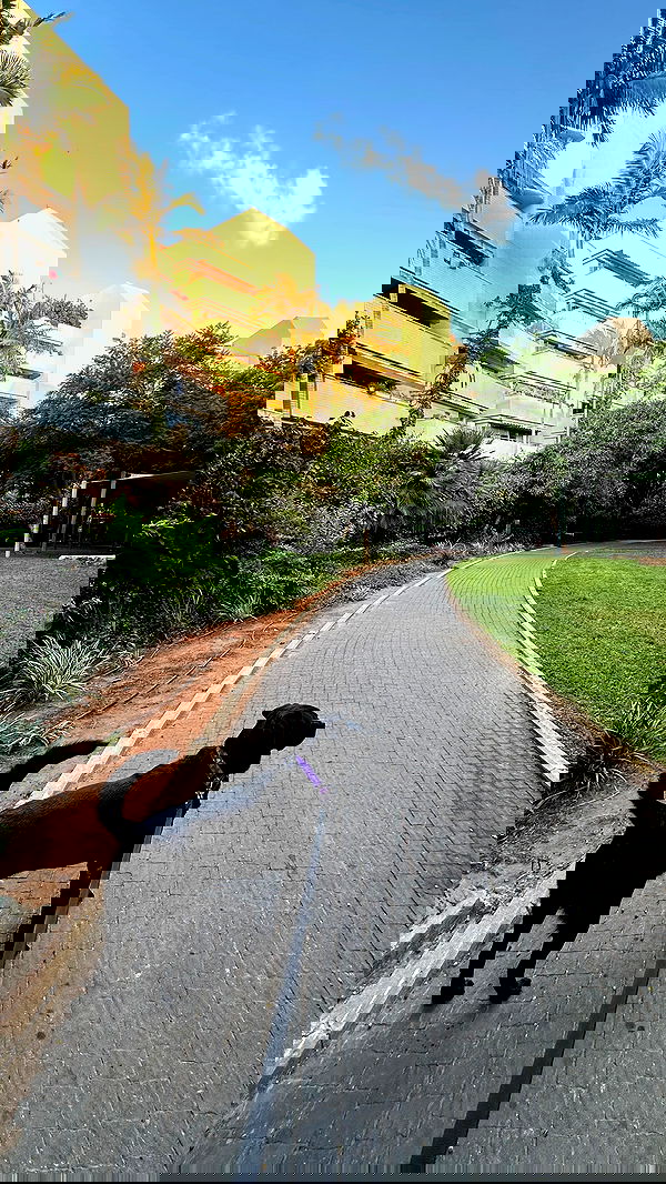 talweisswasser image ~ Altpins