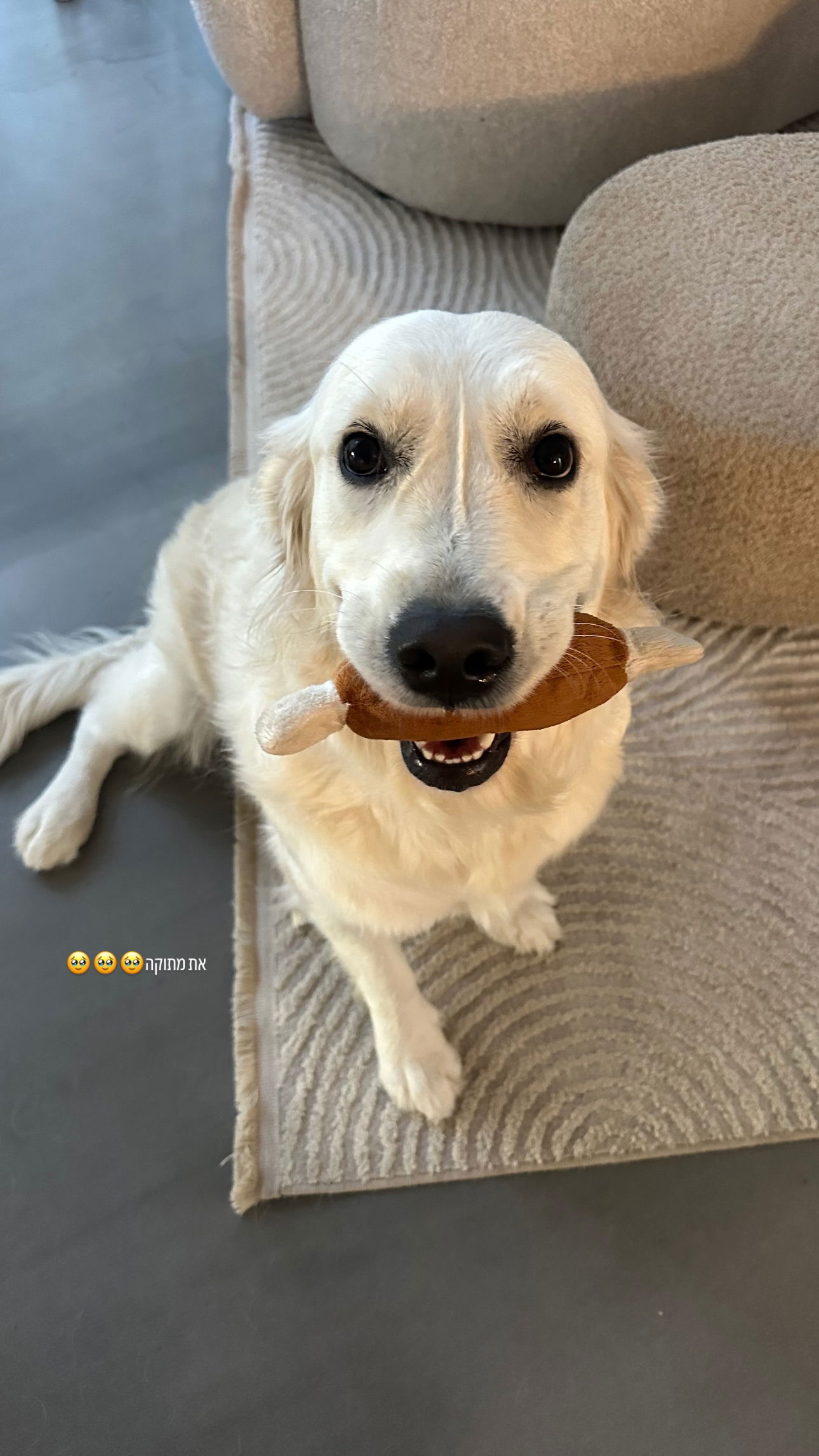 talweisswasser instagram image archive image