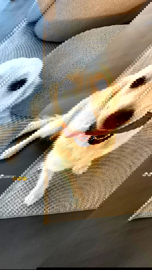 talweisswasser image ~ Altpins