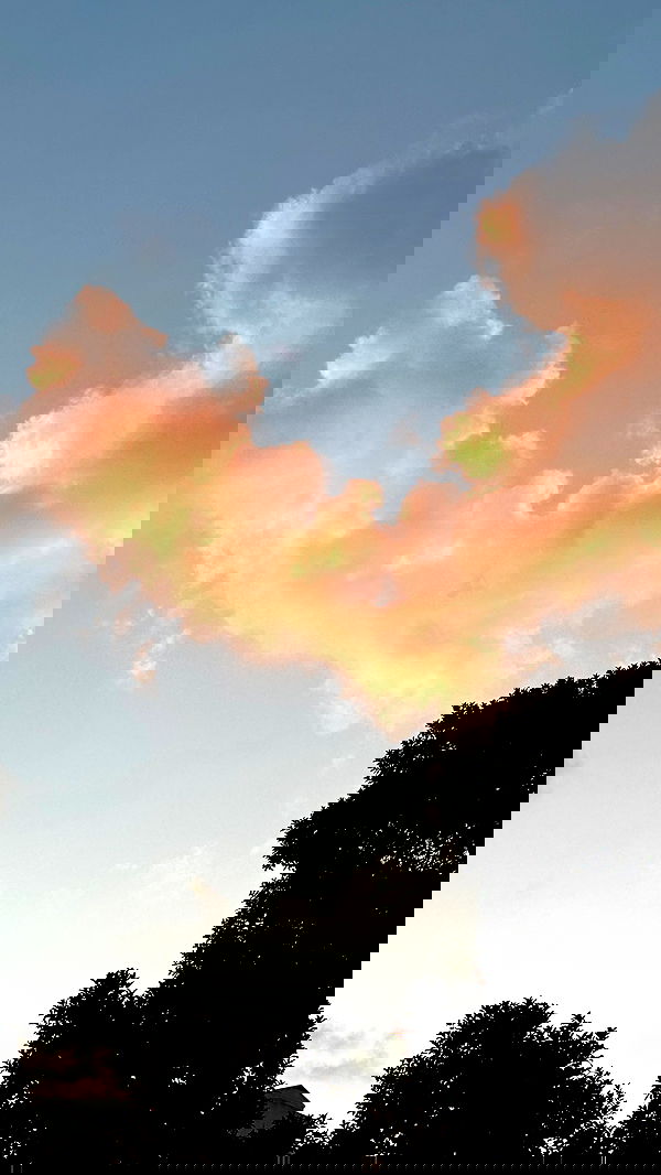 talweisswasser image ~ Altpins