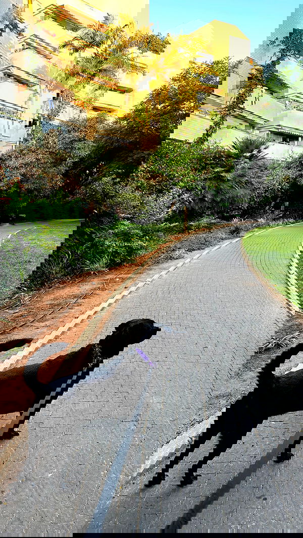 talweisswasser image ~ Altpins