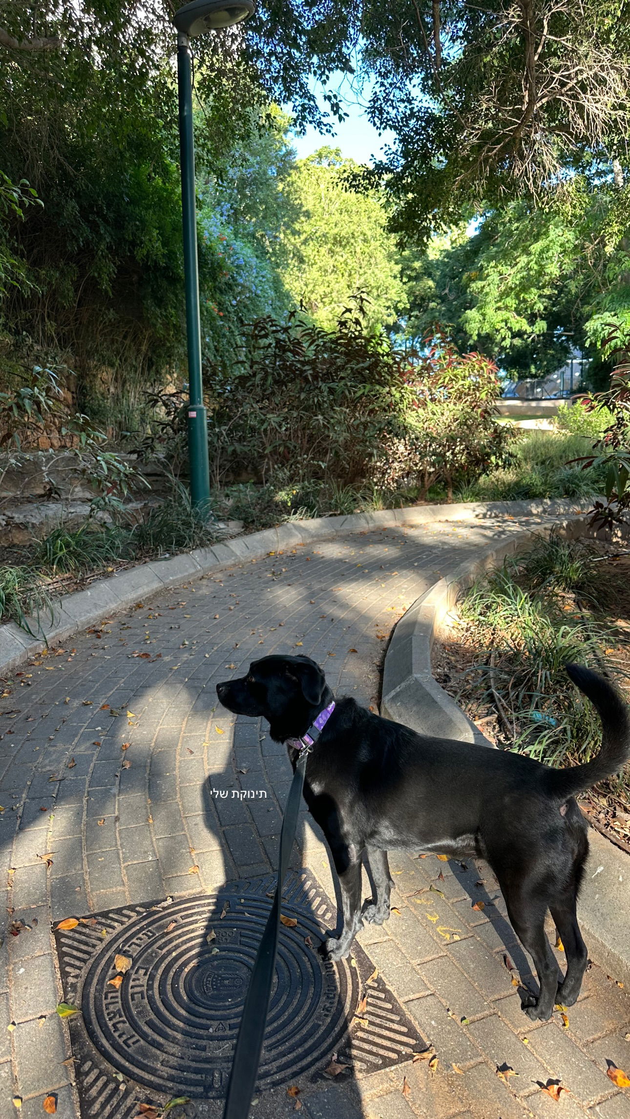 talweisswasser instagram image archive image