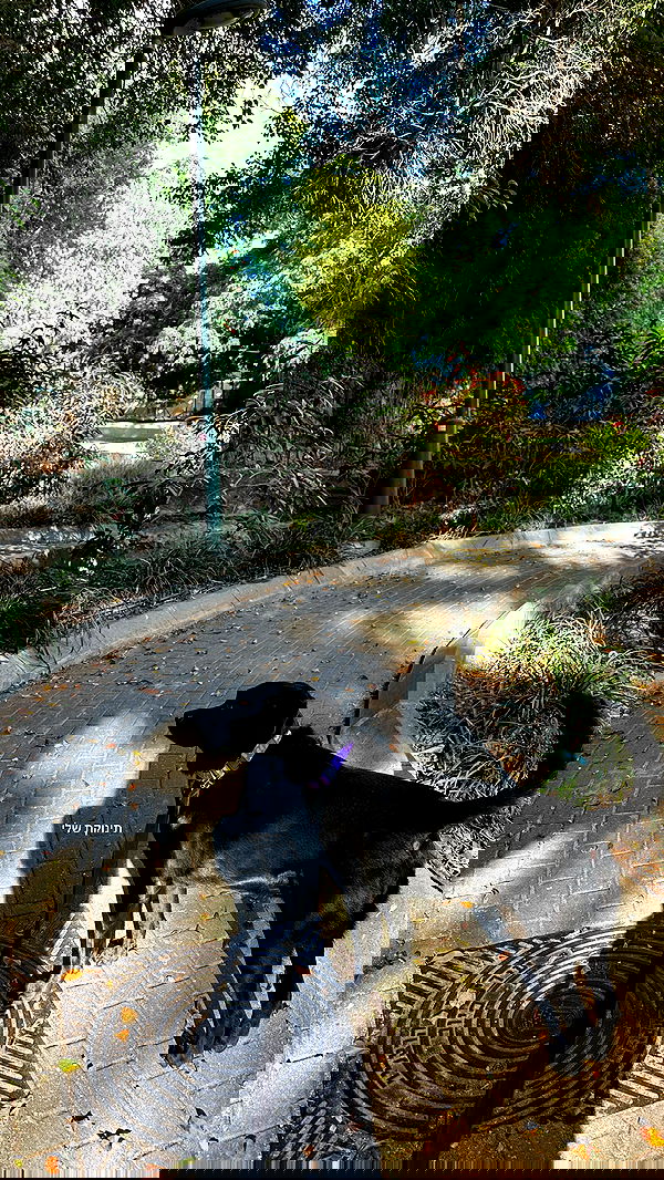 talweisswasser image ~ Altpins