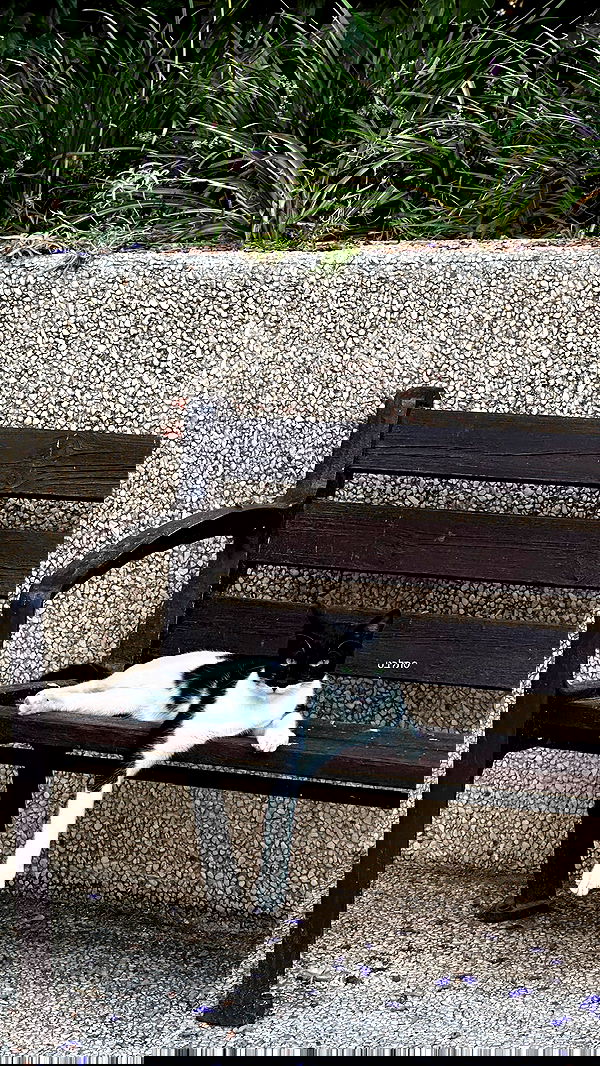 talweisswasser image ~ Altpins