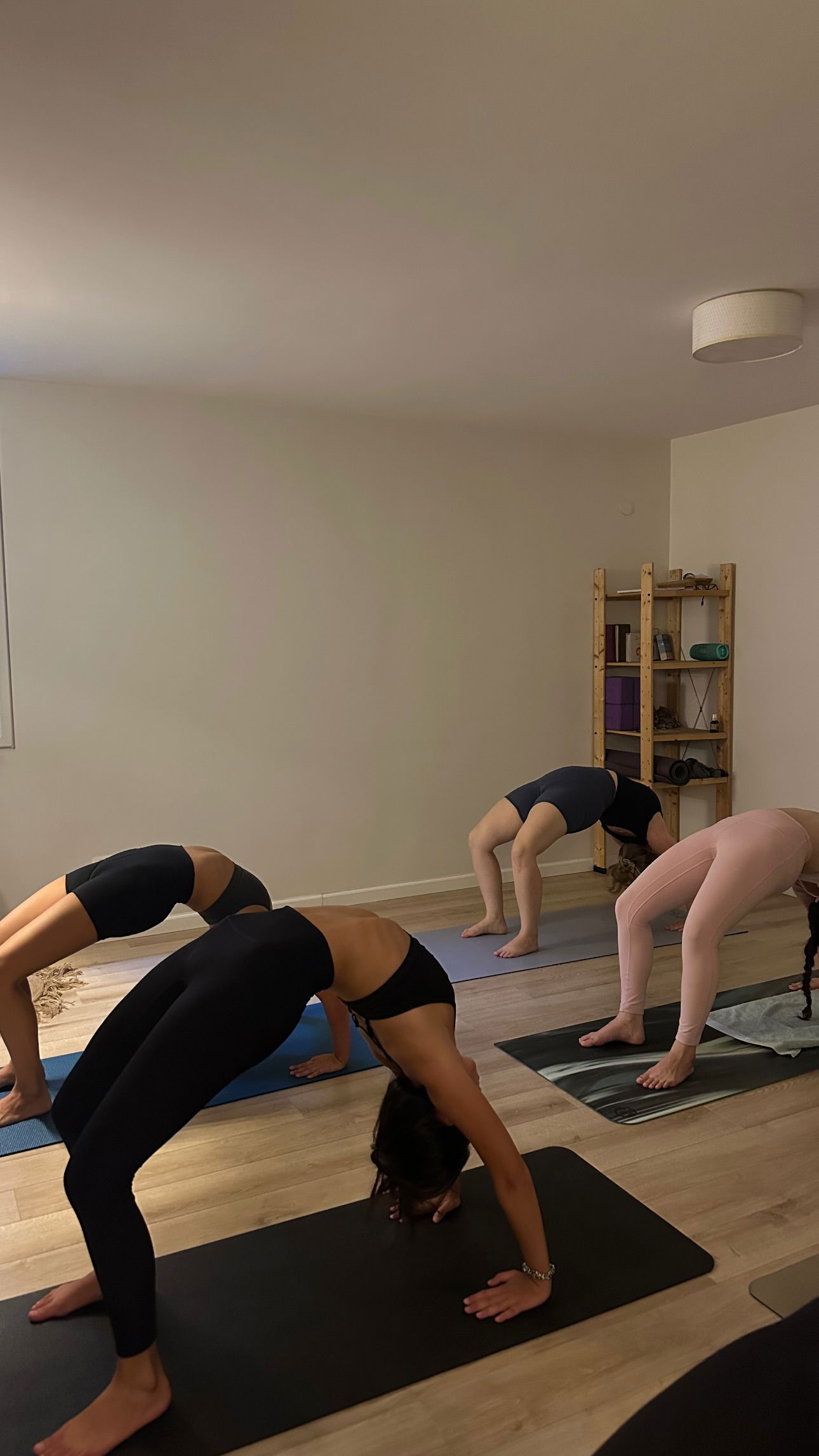 talweisswasser instagram image archive image