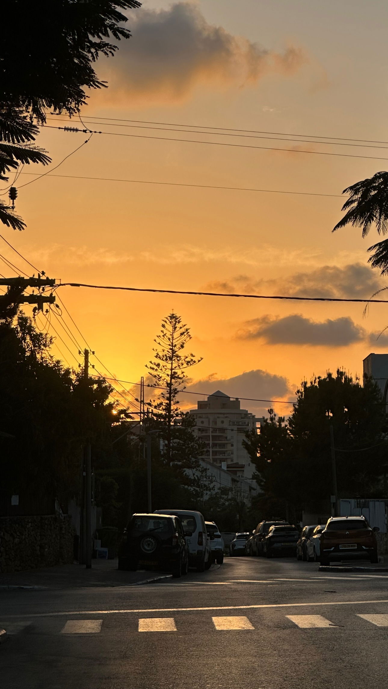 talweisswasser instagram image archive image