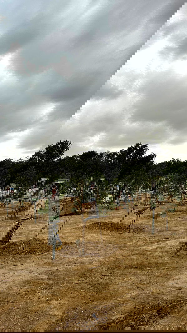 talweisswasser image ~ Altpins