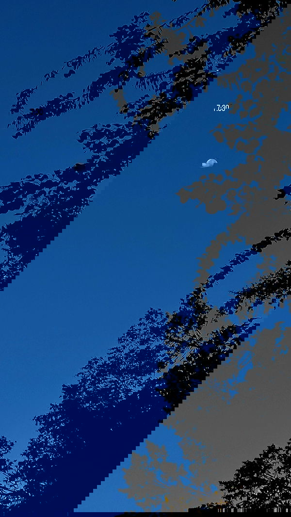 talweisswasser image ~ Altpins