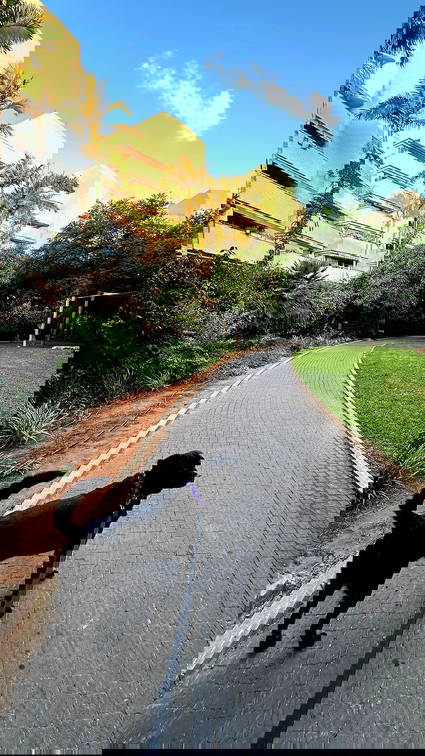 talweisswasser image ~ Altpins