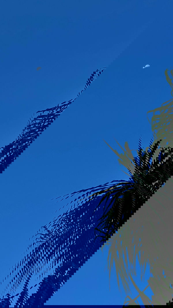 talweisswasser image ~ Altpins