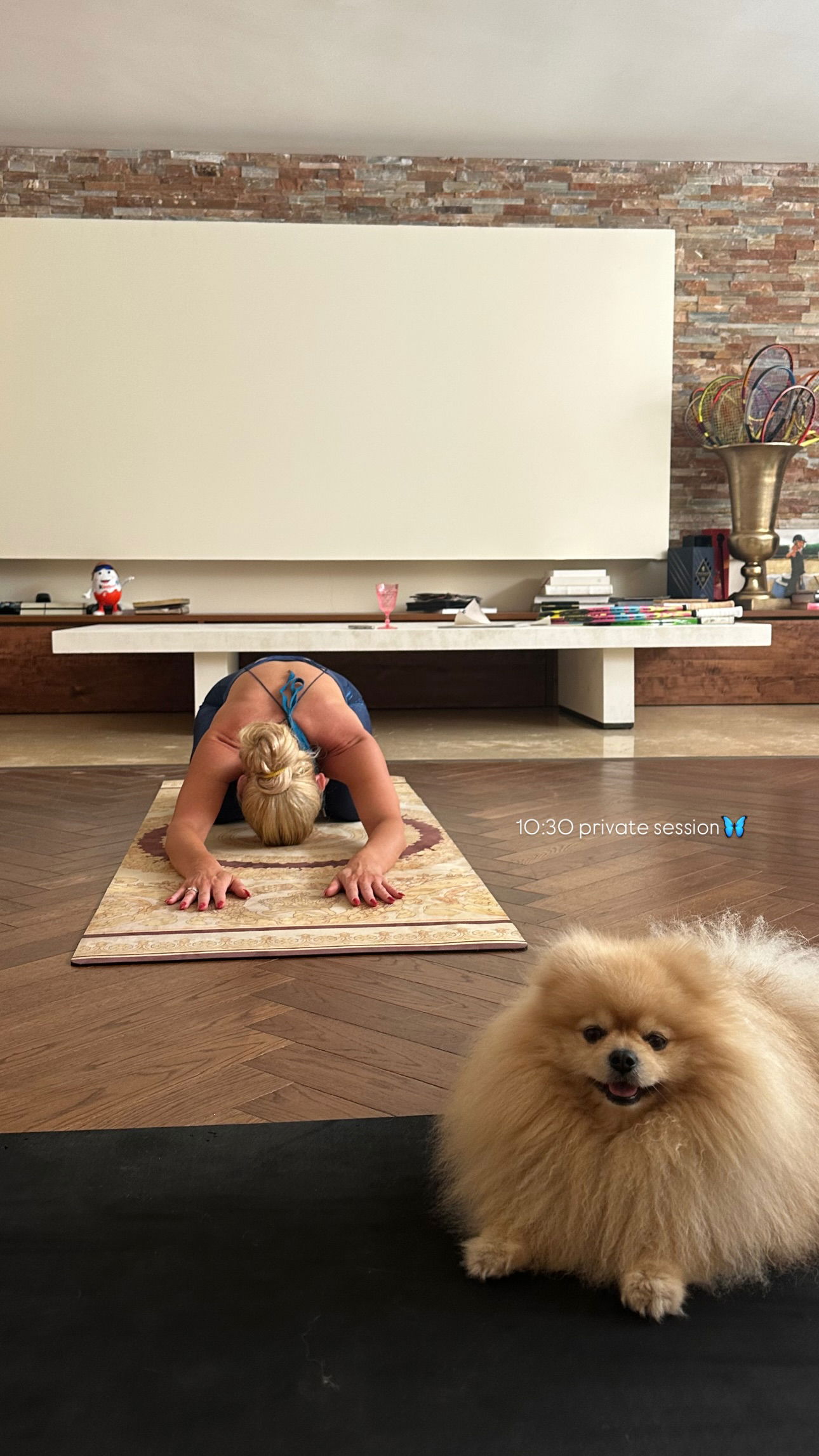 talweisswasser instagram image archive image