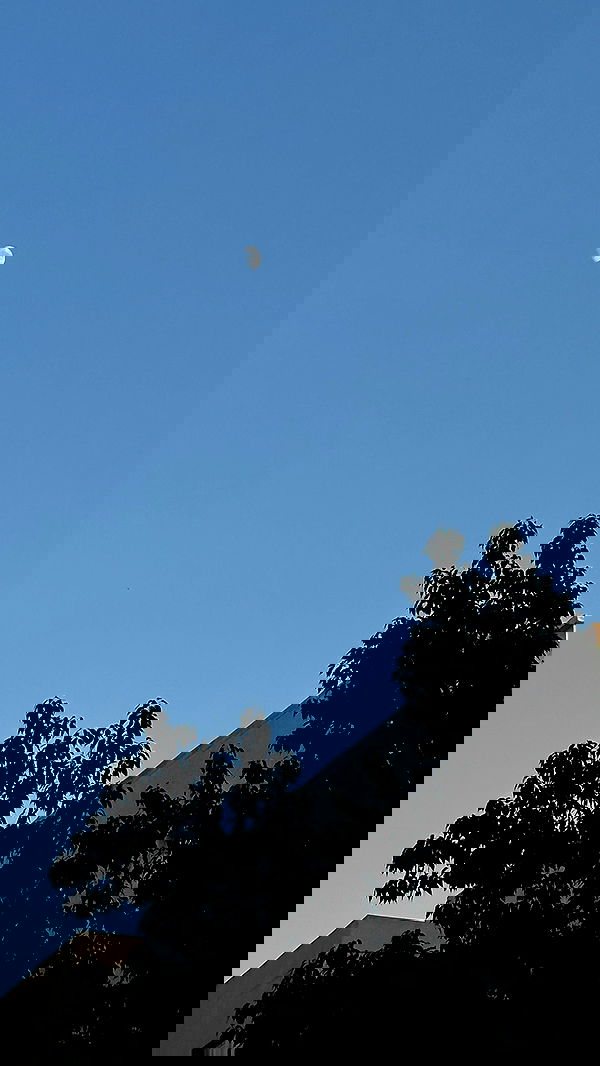 talweisswasser image ~ Altpins