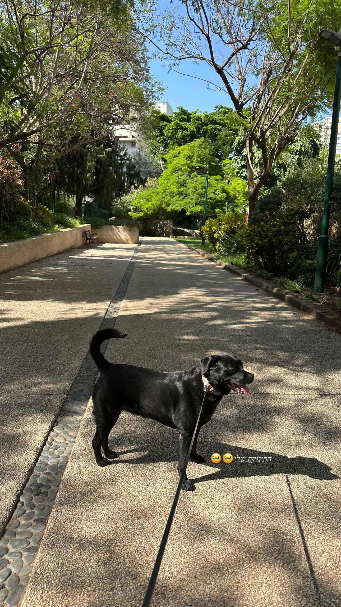 talweisswasser instagram image archive image