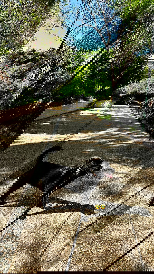 talweisswasser image ~ Altpins