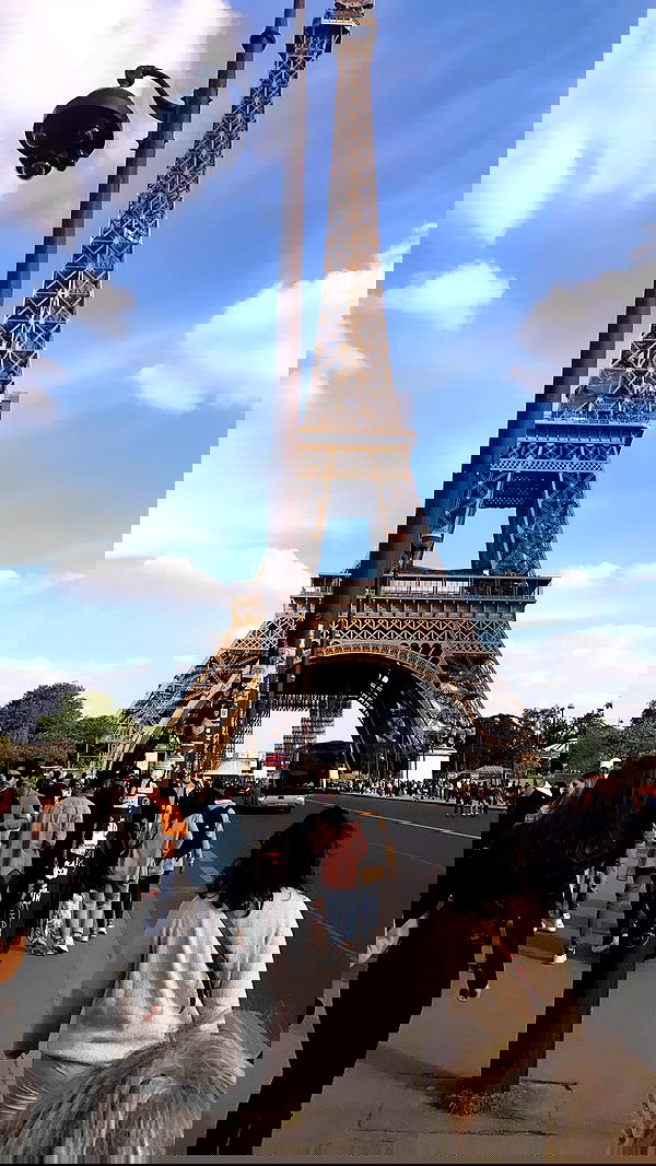 talya__edri talya__edri archive image