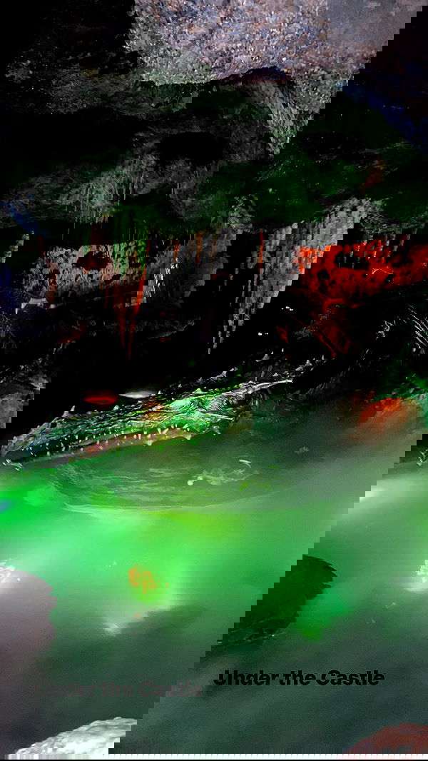 talya__edri talya__edri archive image