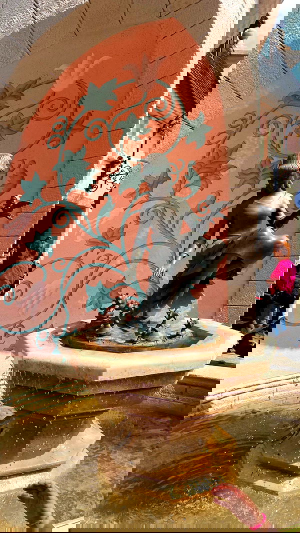 talya__edri talya__edri archive image