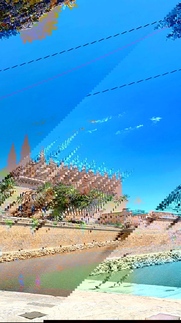 talya__edri talya__edri archive image