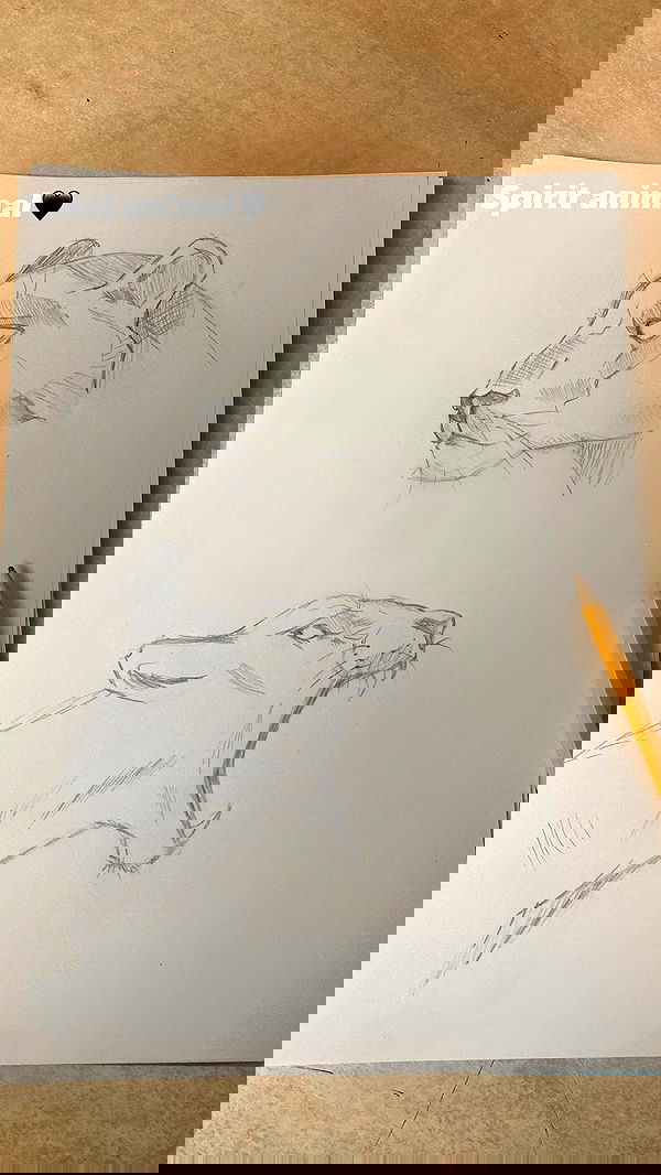 talya__edri talya__edri archive image