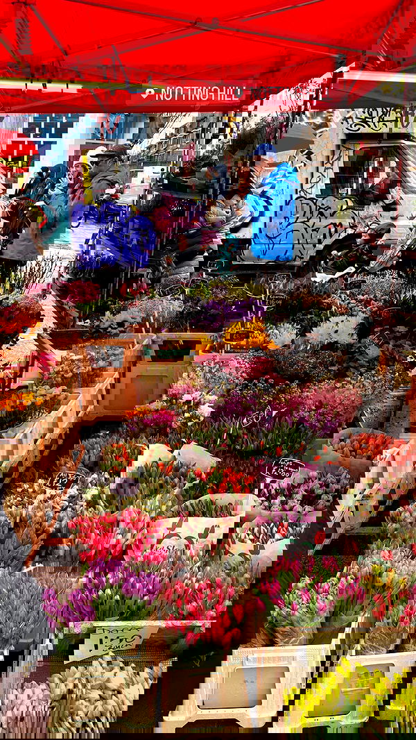 talya__edri talya__edri archive image