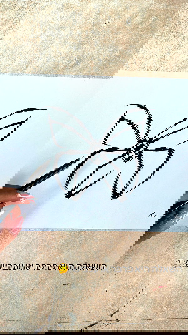 talya__edri talya__edri archive image