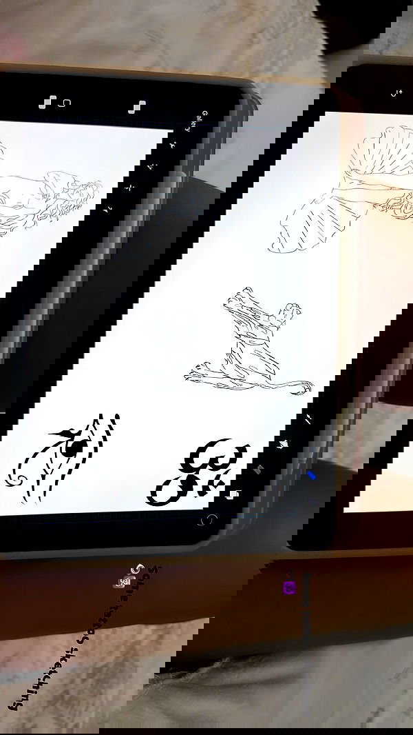 talya__edri talya__edri archive image