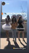 tami_shemesh Altpins Profile Picture