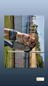tami_shemesh Altpins Profile Picture