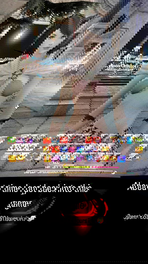 tanukiicos tanukiicos archive image