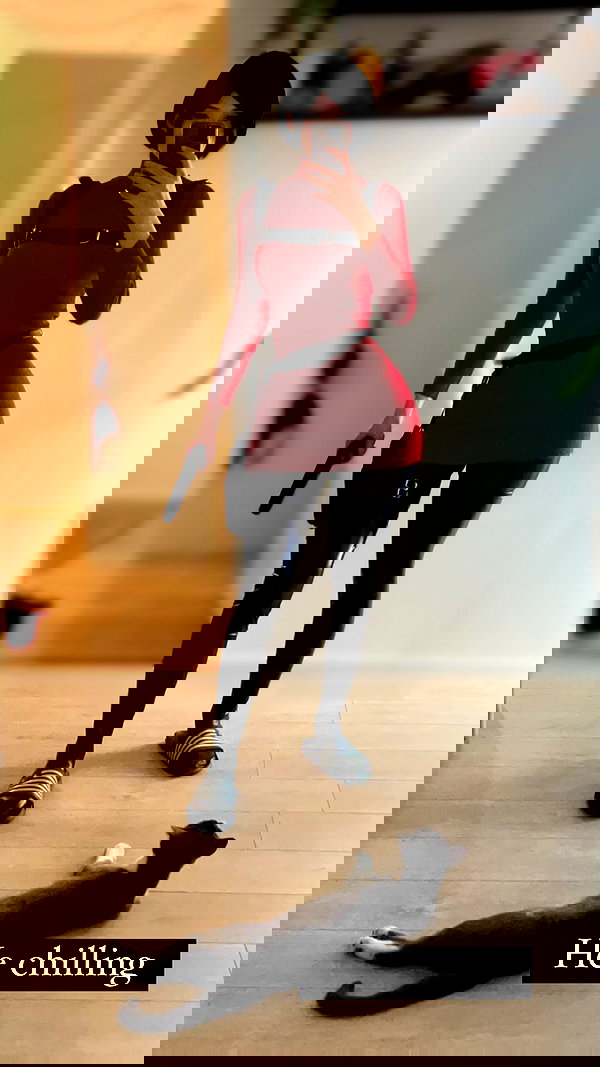 tanukiicos tanukiicos archive image