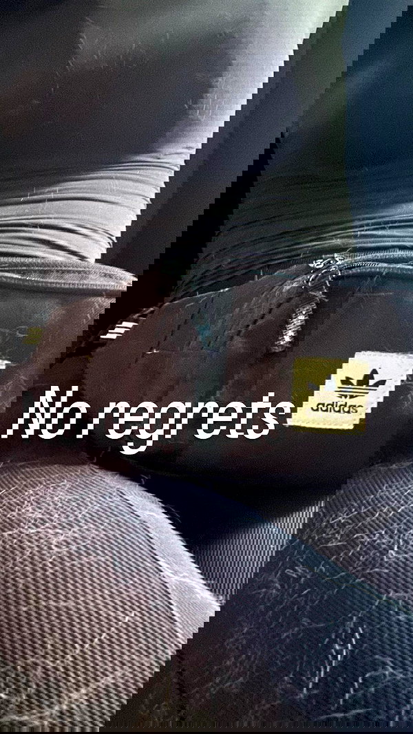 tanukiicos tanukiicos archive image