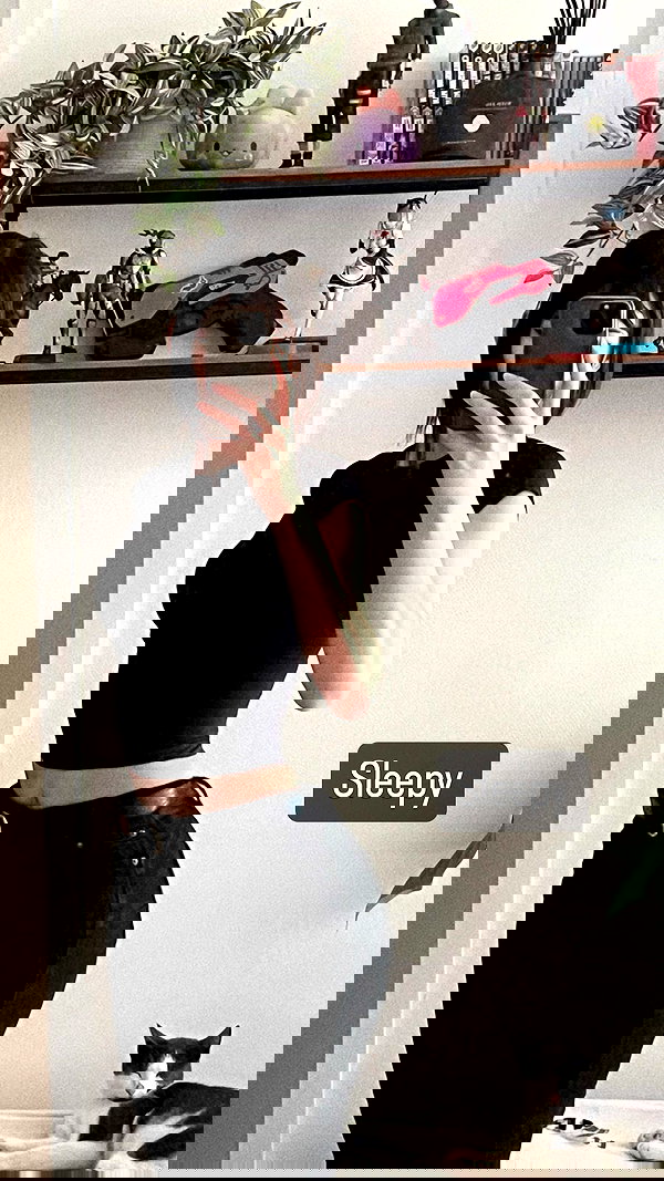 tanukiicos tanukiicos archive image