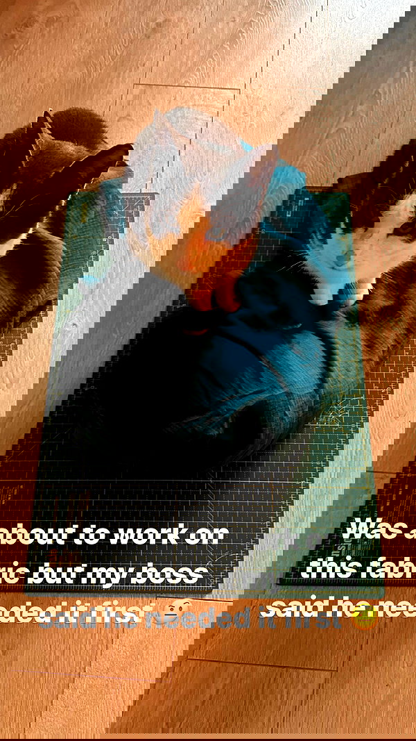 tanukiicos tanukiicos archive image