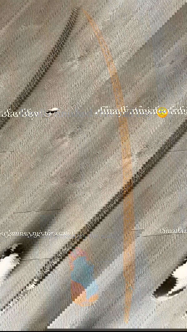 tanukiicos tanukiicos archive image