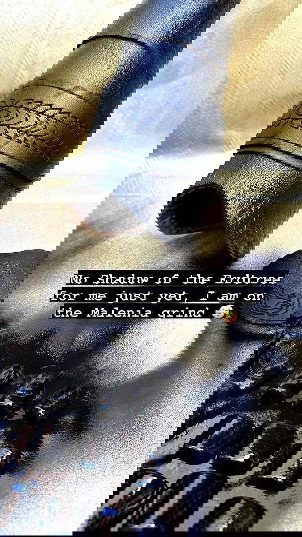 tanukiicos tanukiicos archive image